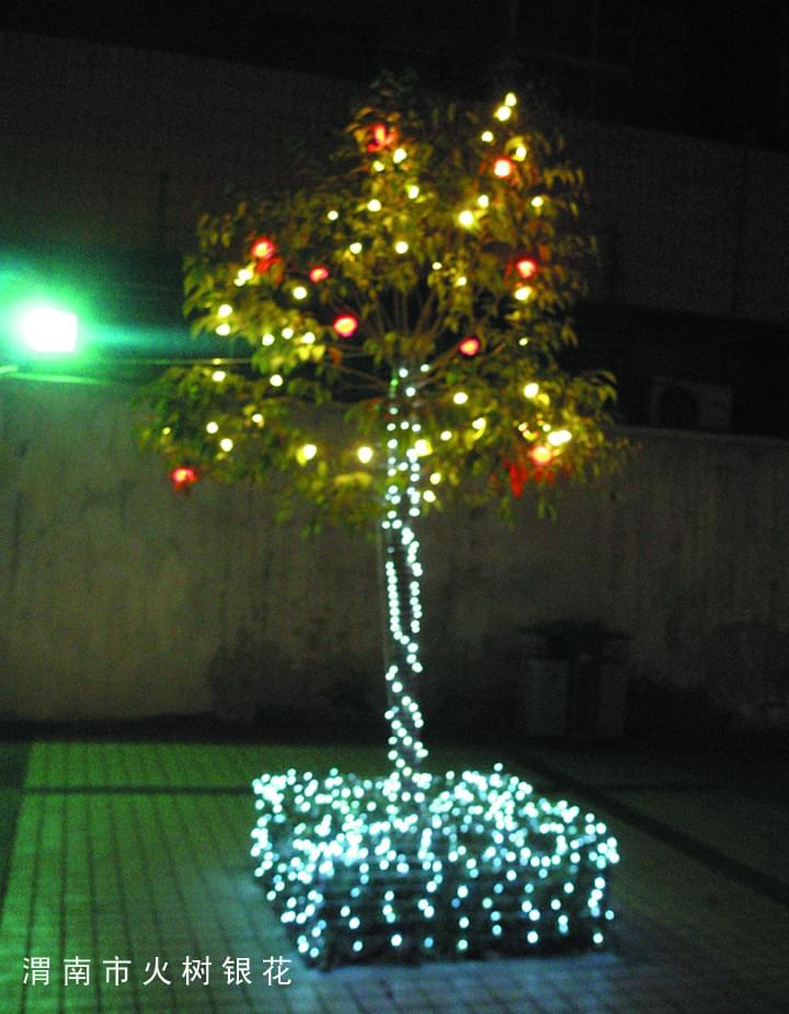 渭南市火樹銀花