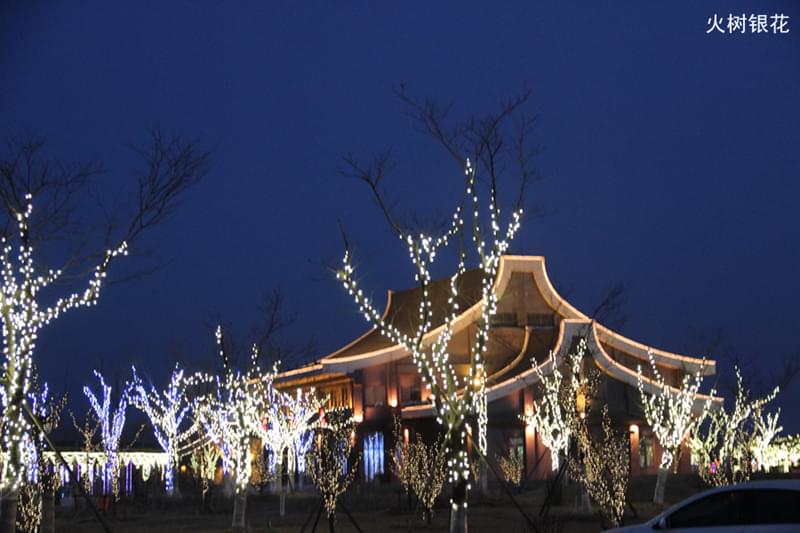 火樹銀花